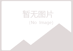 安图县冰夏快递有限公司